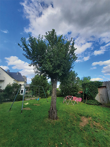 creche-nemo-et-cie-luxembourg-alzingen-jardin-balancoire